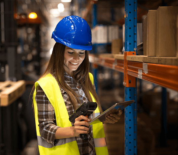 Logistics software testing