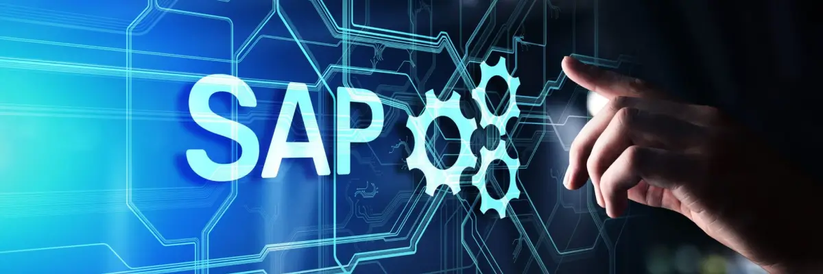 5 Key Steps to Effective SAP Testing