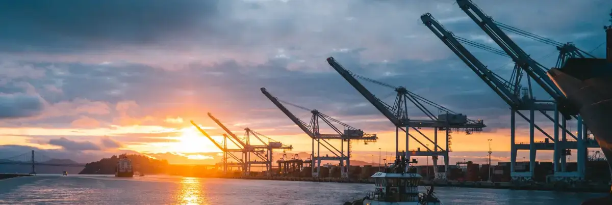 CTRM VS. ETRM: Which Software is Perfect Fit for Your Business Needs?
